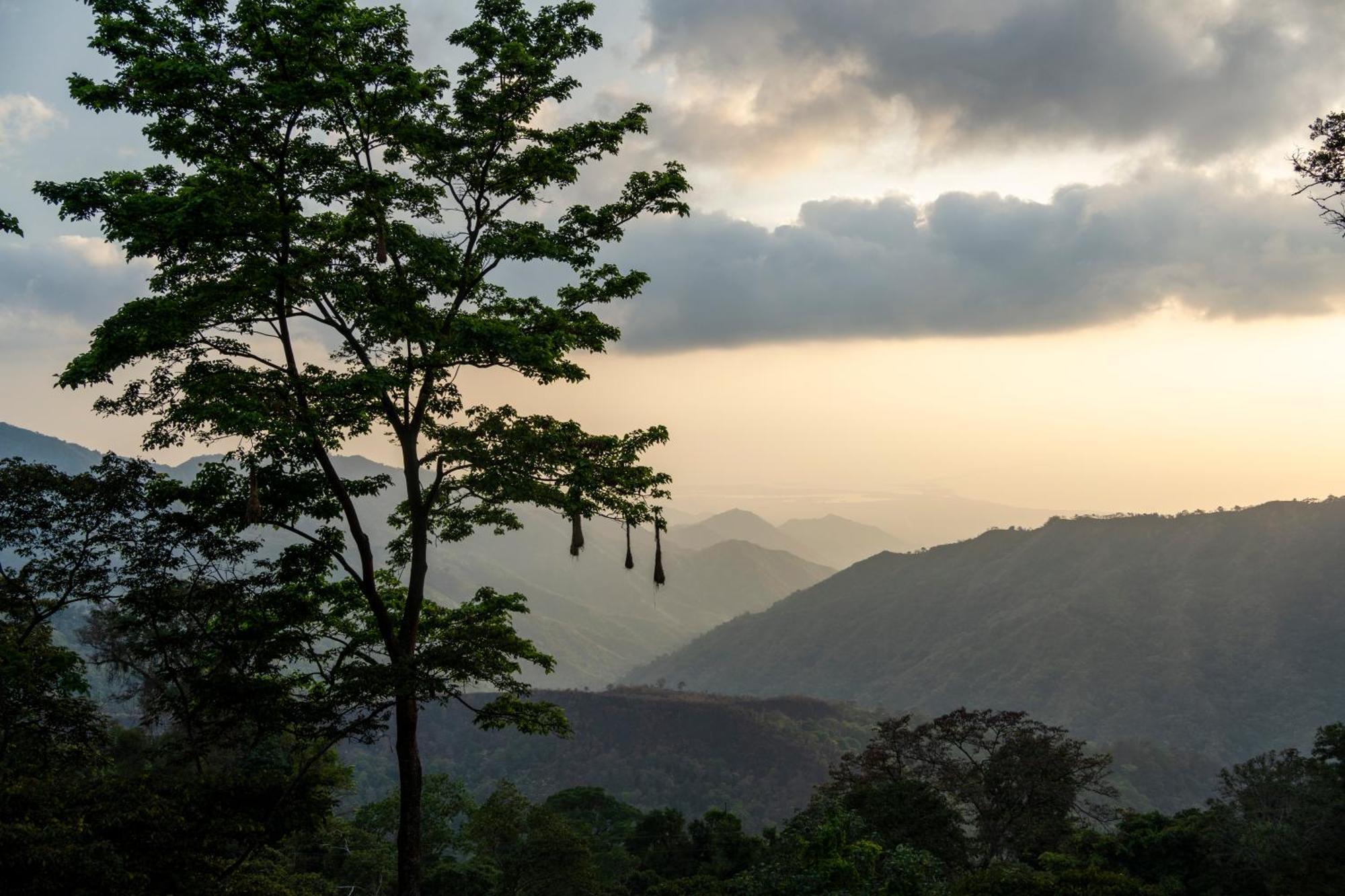 Mano Verde Minca Exteriér fotografie