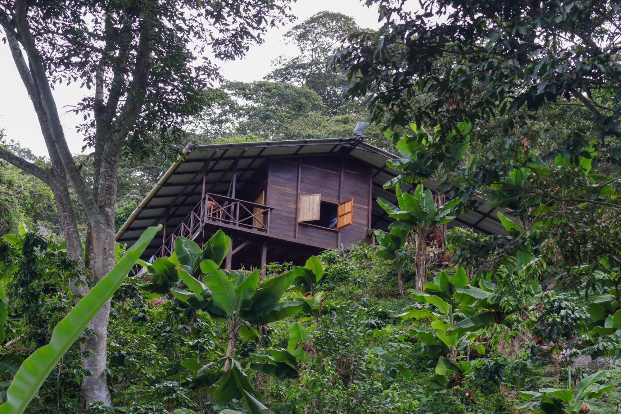 Mano Verde Minca Exteriér fotografie
