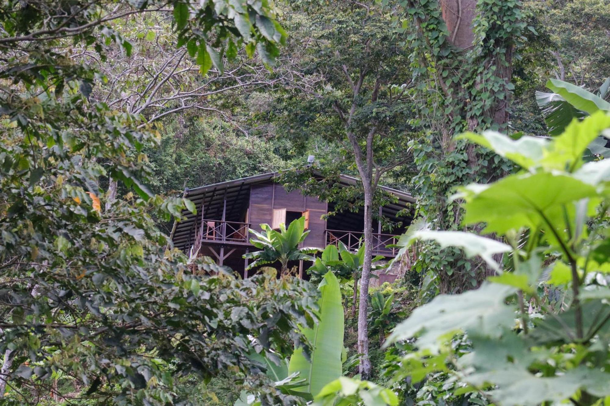 Mano Verde Minca Exteriér fotografie